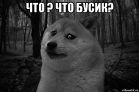 что ? что бусик? 