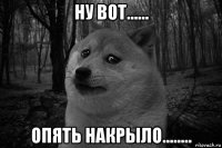 ну вот...... опять накрыло........