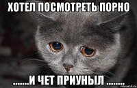 хотел посмотреть порно .......и чет приуныл ........