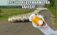 посоны reborn на моран заходят 