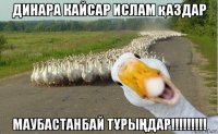 динара кайсар ислам қаздар маубастанбай тҰрыҢдар!!!!!!!!!