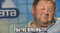  ты че олень??