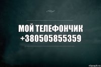 мой телефончик +380505855359