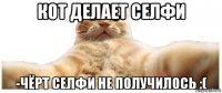 кот делает селфи -чёрт селфи не получилось :(