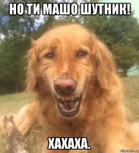 но ти машо шутник! хахаха.