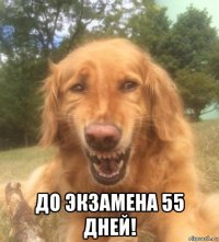  до экзамена 55 дней!