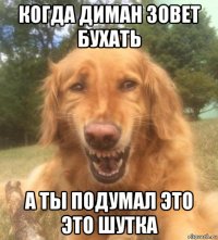 когда диман зовет бухать а ты подумал это это шутка