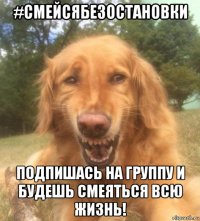 #смейсябезостановки подпишась на группу и будешь смеяться всю жизнь!