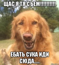 щас я тя съем!!!!!!!!!! ебать сука иди сюда.....