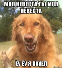 моя невеста ты моя невеста ёу ёу я охуел