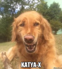  katya-x