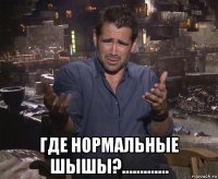  где нормальные шышы?.............