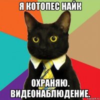 я котопес найк охраняю. видеонаблюдение.