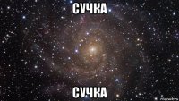 сучка сучка