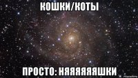 кошки/коты просто: няяяяяяшки