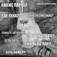 какие пары? во сколько? какое расписание? есть номер? скиньте титульник список литературы сколько пар? где леха? есть чо? 