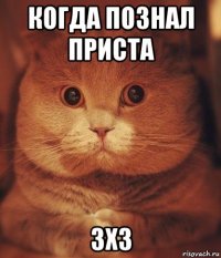 когда познал приста 3х3