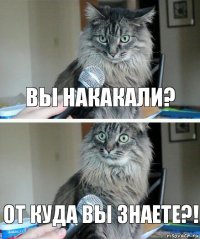 вы накакали? от куда вы знаете?!