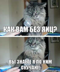 Как вам без яиц? Вы знаете я по ним скучаю!