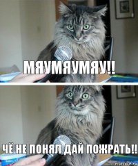 мяумяумяу!! чё не понял дай пожрать!!