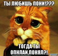 ты любишь пони!??? тогда ты опнлаи,понял?!