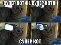 супер котик. супер котик супер кот.