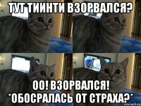 тут тиинти взорвался? оо! взорвался! *обосралась от страха?*