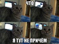 что я тут не причём