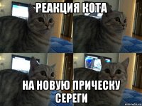 реакция кота на новую прическу сереги