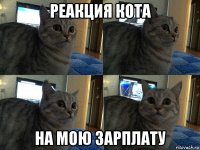 реакция кота на мою зарплату