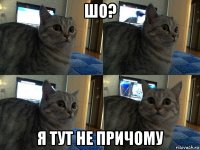 шо? я тут не причому