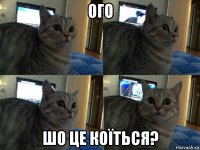 ого шо це коїться?