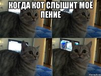 когда кот слышит моё пение 