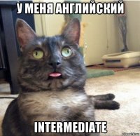 у меня английский intermediate