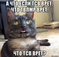 а что если тсв врёт, что твпмр врёт, что тсв врёт?