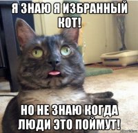 я знаю я избранный кот! но не знаю когда люди это поймут!