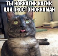 ты норкотик котик или просто норкоман 