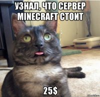 узнал, что сервер minecraft стоит 25$