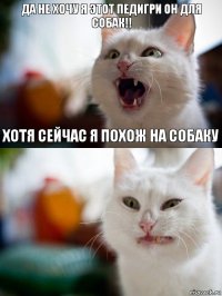 да не хочу я этот педигри он для собак!! хотя сейчас я похож на собаку