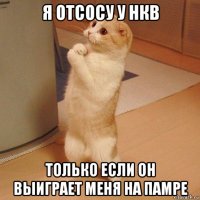 я отсосу у нкв только если он выиграет меня на памре