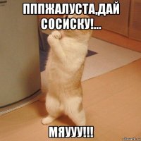 пппжалуста,дай сосиску!... мяууу!!!