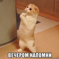  вечером напомни