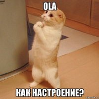 ola как настроение?