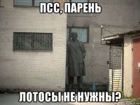 псс, парень лотосы не нужны?