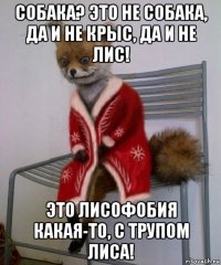 собака? это не собака, да и не крыс, да и не лис! это лисофобия какая-то, с трупом лиса!