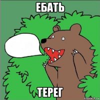 ебать терег