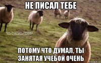 не писал тебе потому что думал, ты занятая учебой очень