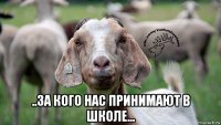  ..за кого нас принимают в школе...