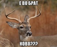 е во брат ково???