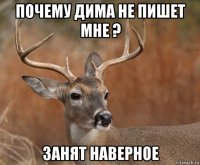 почему дима не пишет мне ? занят наверное